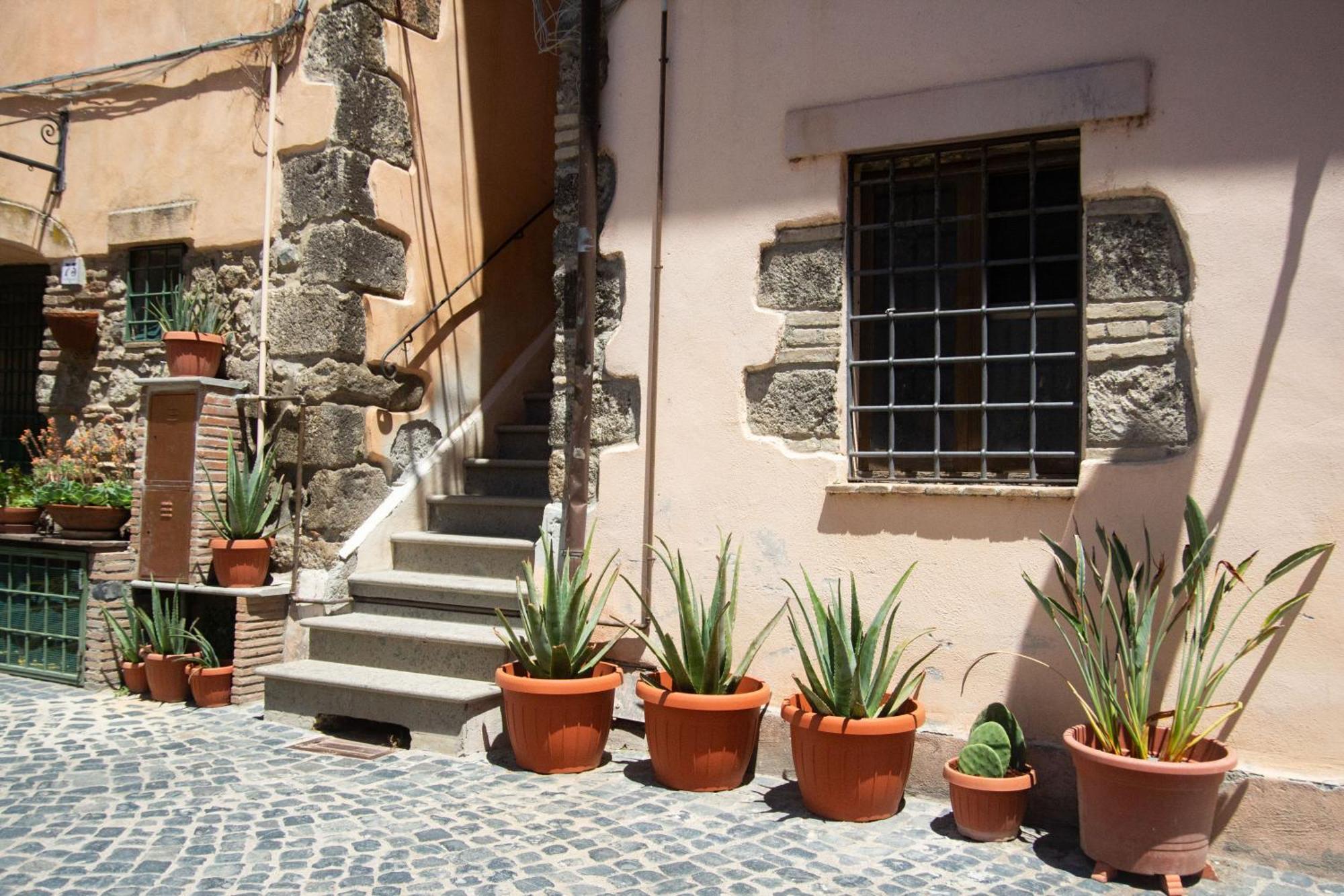 Finestra Sul Borgo Appartement Trevignano Romano Buitenkant foto